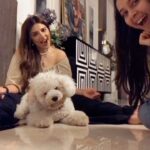Shama Sikander Instagram - This is the cutest reel I’ve ever made with my baby #casper 🥺❤️ @shamasikander #caspertales #trending #trendingreels #trend #explore #explorepage #reels #reelitfeelit #beauty #sarahgesawat #dog #dogsofinstagram