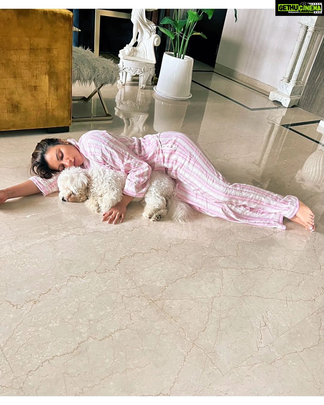Shama Sikander Instagram - Pehle ulat swipe right ➡️➡️ phir palat ….😄😄 Day well done…🥳😇🙏🏻 . . . #yoga #elbowstand #elbowstandpractice #practicemakesbetter #lifeisbeautiful #lifewelllived #mybaby #casper #mylove #mypuppy #furbaby #home #mumbai #shamasikander Mumbai, Maharashtra