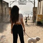 Shama Sikander Instagram – Looks like someone had a great day…. Caspers day out to the beach…🏖🏖🏖🐶🐶🐶🐩#dog #puppy #bitchonfrise #beachlife #beachvibes #beachday #mypuppy #whitedog #lovelyday
