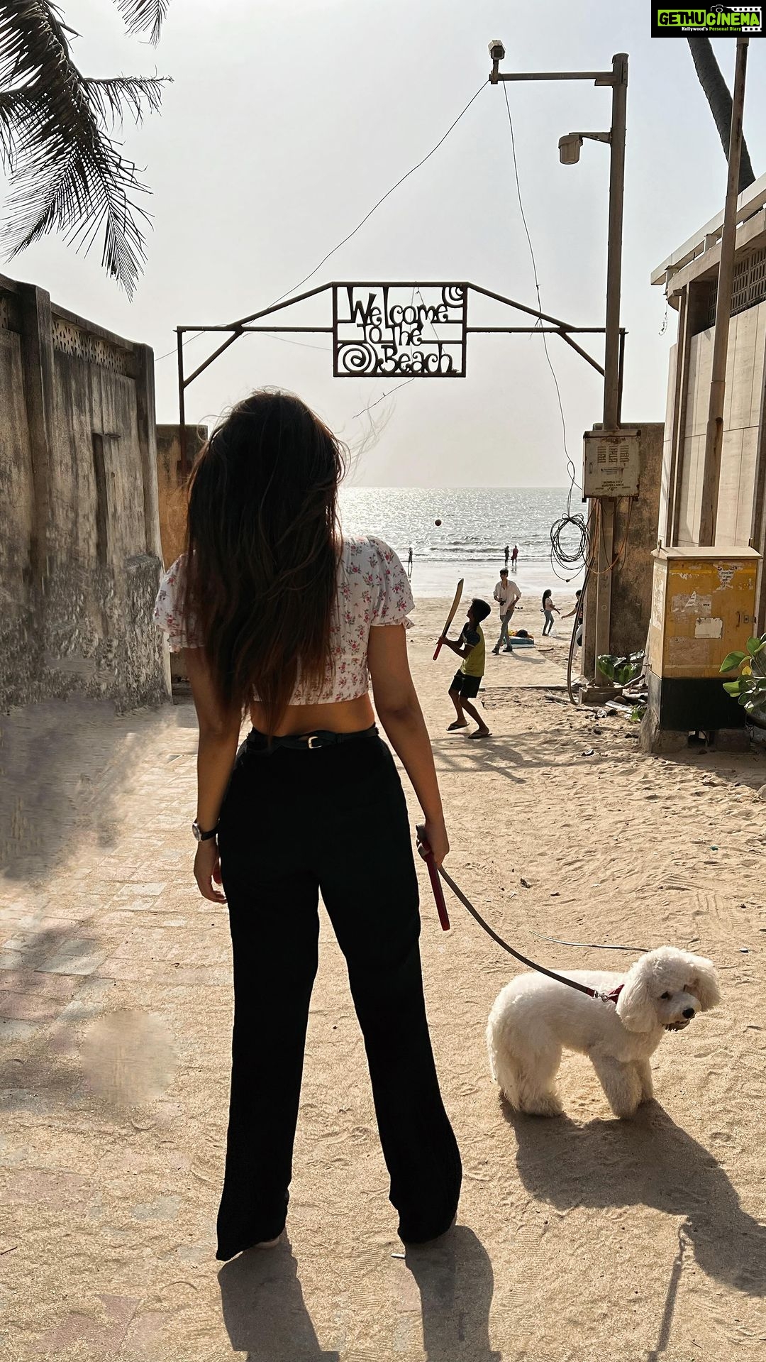 Shama Sikander Instagram - Looks like someone had a great day…. Caspers day out to the beach…🏖🏖🏖🐶🐶🐶🐩#dog #puppy #bitchonfrise #beachlife #beachvibes #beachday #mypuppy #whitedog #lovelyday
