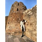 Shama Sikander Instagram - Thank you @mundotapalace for Hosting us it was a wonderful experience. Thank you @singhvinay2802 For everything…🤗♥️ . . . #beautiful #mundotapalace #jaipur #pinkcity #love #vibes #wonderful #experience #positivevibes #inspiration #shamasikander Mundota Fort and Palace