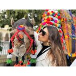 Shama Sikander Instagram - Celebrating my State Rajasthan, my city Jaipur with my New friends Champion & Sikandar Happy Republic day Everyone 🇮🇳🇮🇳🇮🇳🇮🇳🇮🇳🇮🇳🇮🇳🇮🇳🇮🇳🇮🇳 . . #jaihind #jaibharat🙏🏻😇 #merabharat♥️🧿 #happyrepublicday #republicday🇮🇳 #2022 #shamasikander Jaipur, Rajasthan