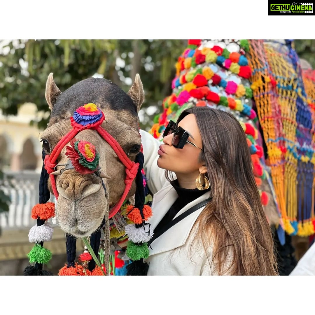 Shama Sikander Instagram - Celebrating my State Rajasthan, my city Jaipur with my New friends Champion & Sikandar Happy Republic day Everyone 🇮🇳🇮🇳🇮🇳🇮🇳🇮🇳🇮🇳🇮🇳🇮🇳🇮🇳🇮🇳 . . #jaihind #jaibharat🙏🏻😇 #merabharat♥️🧿 #happyrepublicday #republicday🇮🇳 #2022 #shamasikander Jaipur, Rajasthan