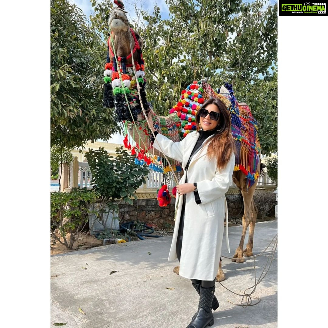 Shama Sikander Instagram - Celebrating my State Rajasthan, my city Jaipur with my New friends Champion & Sikandar Happy Republic day Everyone 🇮🇳🇮🇳🇮🇳🇮🇳🇮🇳🇮🇳🇮🇳🇮🇳🇮🇳🇮🇳 . . #jaihind #jaibharat🙏🏻😇 #merabharat♥️🧿 #happyrepublicday #republicday🇮🇳 #2022 #shamasikander Jaipur, Rajasthan