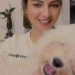 Shama Sikander Instagram - Oh i missed this sweet little creature who i love so very deeply… soooo happy to be back home to this love…my baby ,my family, my beautiful #casper #mypuppy #mybaby #love #him #sweet #cute #bichonfrise #cloud #white #furball #furbaby