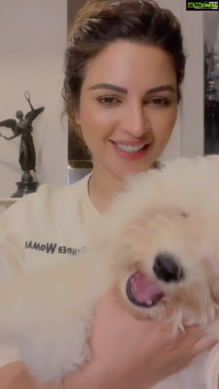 Shama Sikander Instagram - Oh i missed this sweet little creature who i love so very deeply… soooo happy to be back home to this love…my baby ,my family, my beautiful #casper #mypuppy #mybaby #love #him #sweet #cute #bichonfrise #cloud #white #furball #furbaby