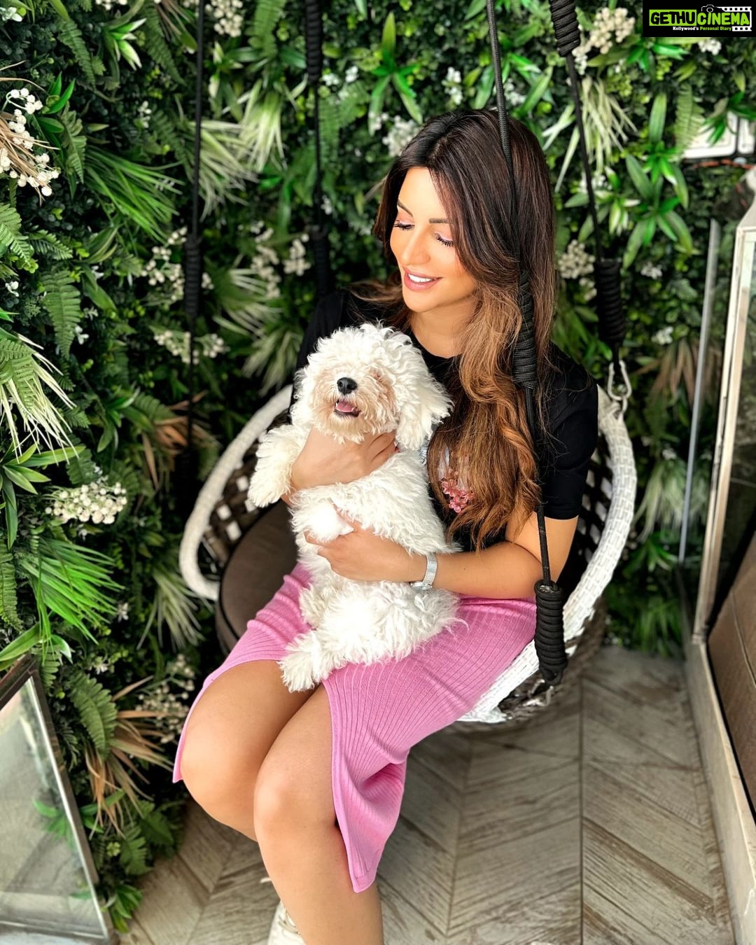 Shama Sikander Instagram - My munchkin….🥰🥰🥰 . . . #mybaby #casper #puppy #animallover #dog #lover #love #life #care #happiness #cutebaby Mumbai, Maharashtra