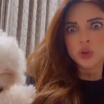 Shama Sikander Instagram - Hello guys ….😎😆 #comedy #comedyvideos #comic #timing #casper #mylove #funnyvideo #viral #viralvideos