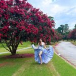 Sherin Instagram - Good morning cupcakes. Have a noice day! Pics by - Mommy #sherin #fashion #dress #styling #photography South Carolina