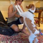 Sonu Sood Instagram - 🐶 Ginger ❤️🤍