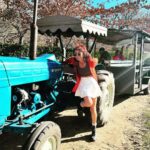 Sriti Jha Instagram – Steer tractor ( a spin off no one asked for 🤷🏻‍♀️)
#franshoek #southafrica