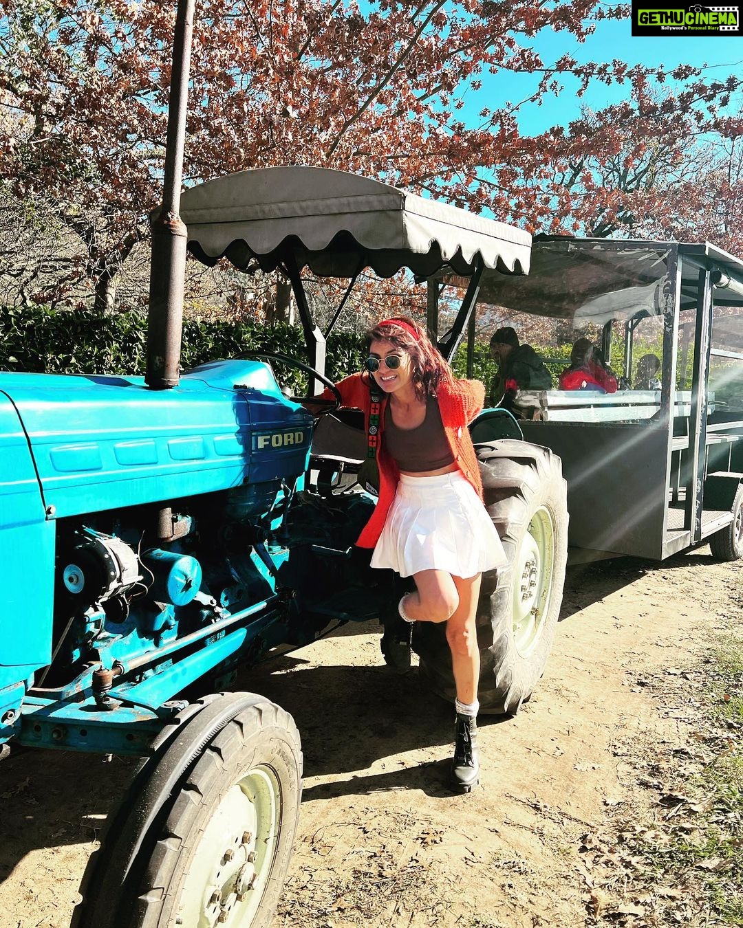 Sriti Jha Instagram - Steer tractor ( a spin off no one asked for 🤷🏻♀️) #franshoek #southafrica