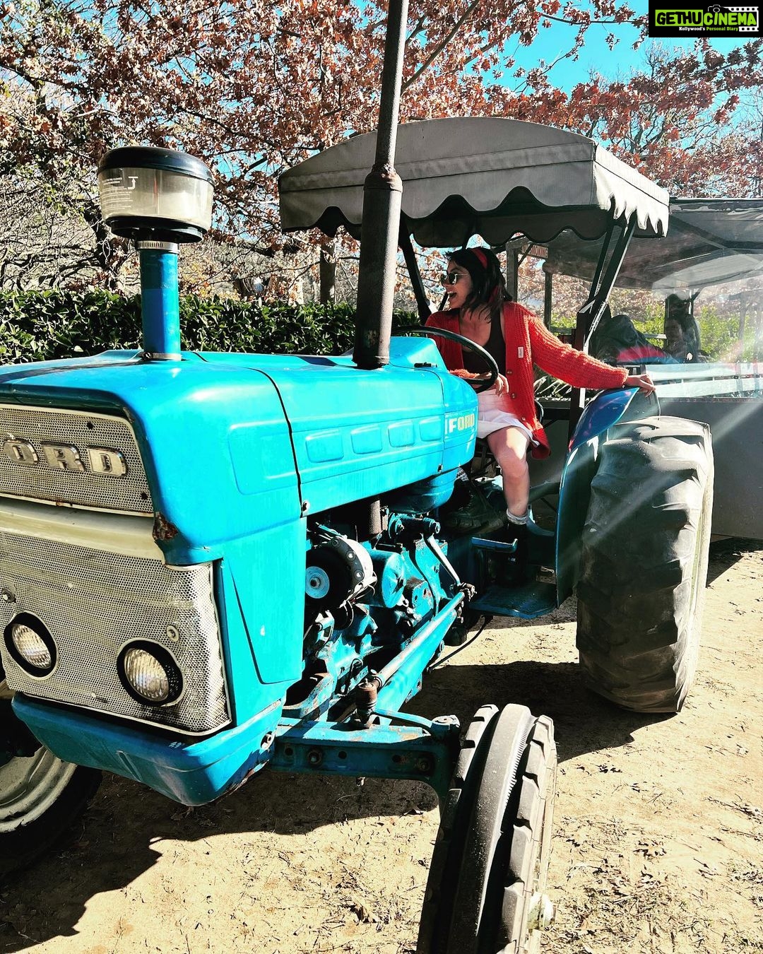 Sriti Jha Instagram - Steer tractor ( a spin off no one asked for 🤷🏻♀️) #franshoek #southafrica