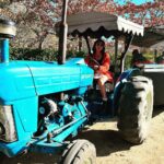 Sriti Jha Instagram - Steer tractor ( a spin off no one asked for 🤷🏻‍♀️) #franshoek #southafrica