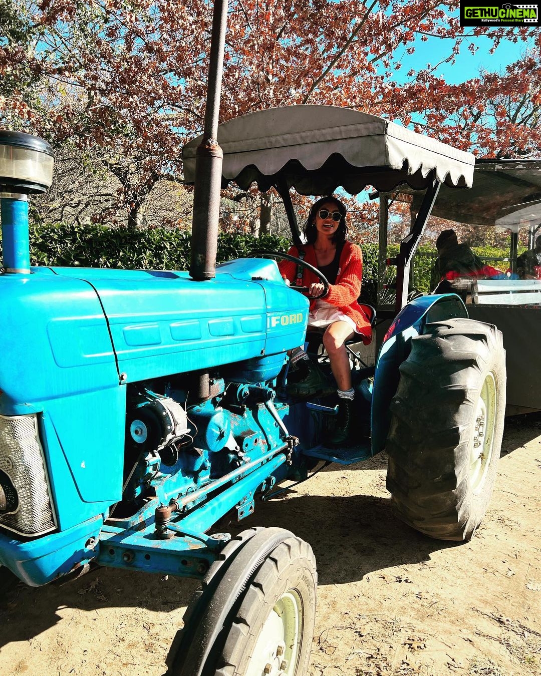 Sriti Jha Instagram - Steer tractor ( a spin off no one asked for 🤷🏻♀️) #franshoek #southafrica