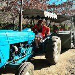 Sriti Jha Instagram - Steer tractor ( a spin off no one asked for 🤷🏻‍♀️) #franshoek #southafrica