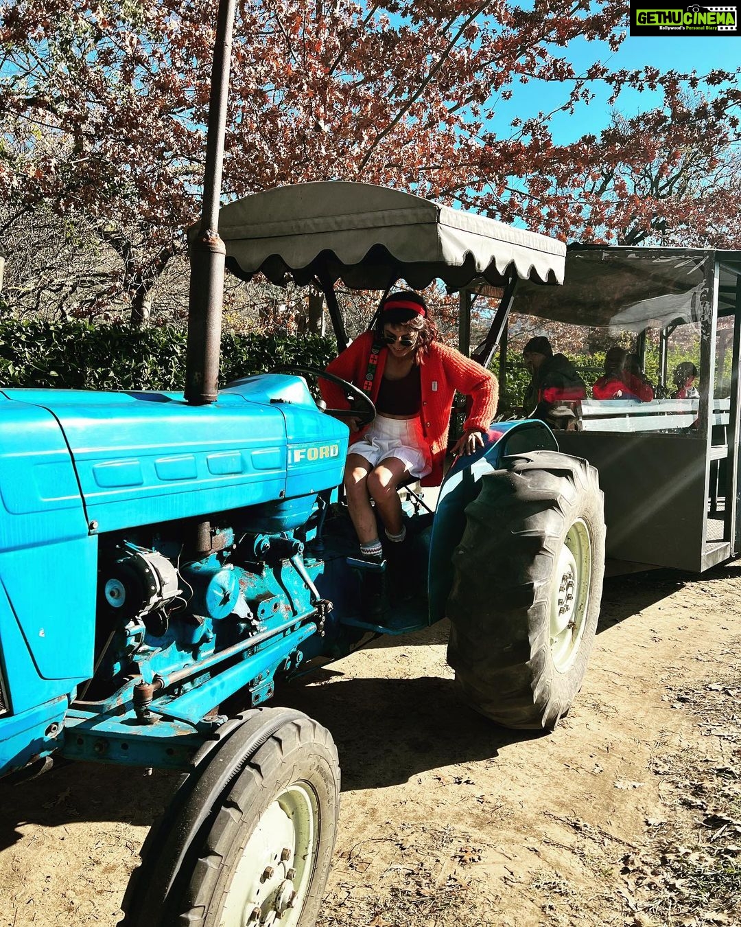 Sriti Jha Instagram - Steer tractor ( a spin off no one asked for 🤷🏻♀️) #franshoek #southafrica