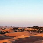 Tara Sutaria Instagram – Romanced and engulfed by the dunes today… 🏜 Abu Dhabi, United Arab Emirates