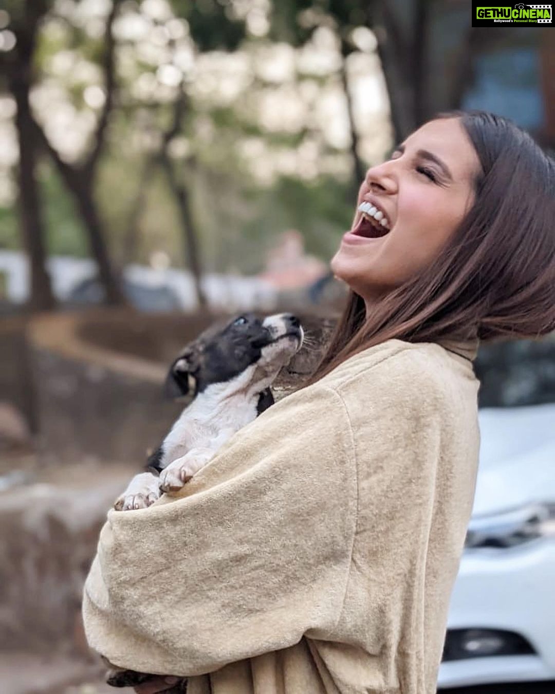 Tara Sutaria Instagram - Welcoming the littlest and newest guest to our set of Heropanti 2.. ( I have decided to name the happy chappy, Spotty! ) With an ever wagging tail, many licks and lots of love to give, he is what all strays are about… 🤍