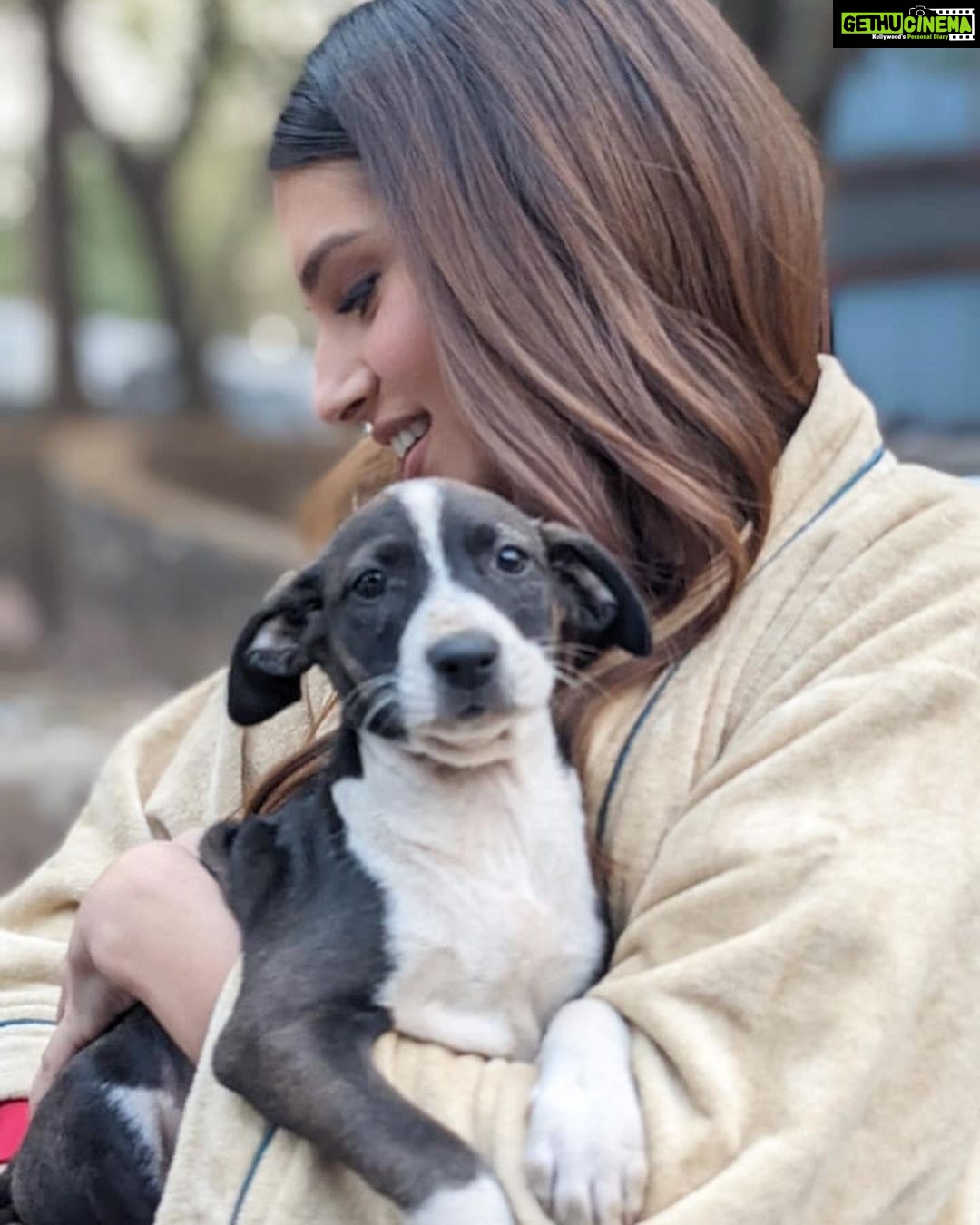 Tara Sutaria Instagram - Welcoming the littlest and newest guest to our set of Heropanti 2.. ( I have decided to name the happy chappy, Spotty! ) With an ever wagging tail, many licks and lots of love to give, he is what all strays are about… 🤍