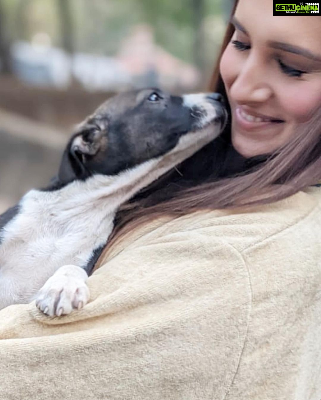 Tara Sutaria Instagram - Welcoming the littlest and newest guest to our set of Heropanti 2.. ( I have decided to name the happy chappy, Spotty! ) With an ever wagging tail, many licks and lots of love to give, he is what all strays are about… 🤍