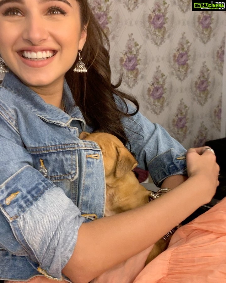 Tara Sutaria Instagram - The return of pupples!!! @thetyagiakshay Sending you as many kisses as I have given pupples in this video! And a few more💖🥺