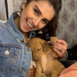Tara Sutaria Instagram - MY BABY JAAN!!!!! Little Pupples!!!! Found him near my trailer while filming Marjaavaan💖💖💖