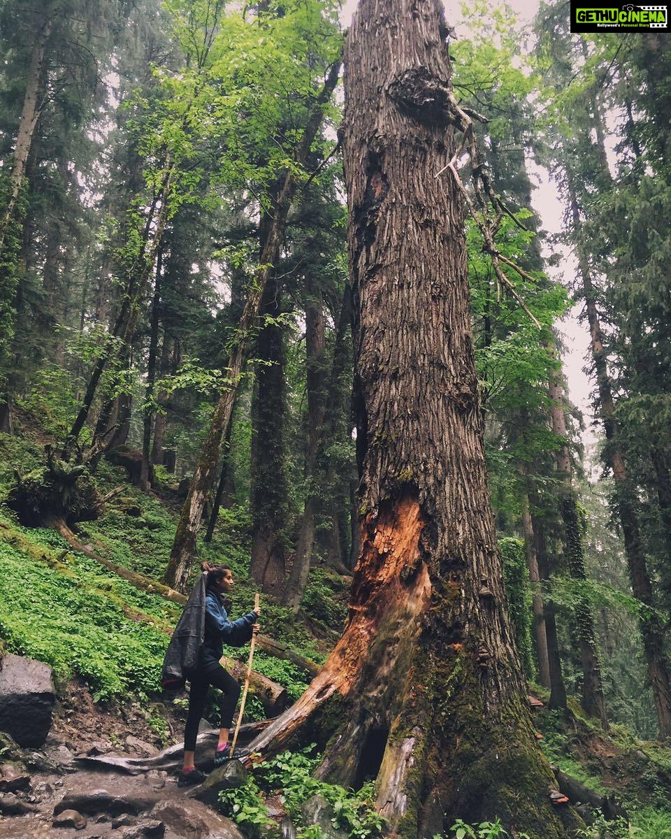 Tara Sutaria Instagram - The week/holiday/trek that changed my life! Kheerganga