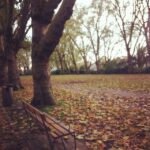 Tara Sutaria Instagram - Walk :) London, United Kingdom