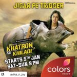 Tejasswi Prakash Instagram – All the very best love ❤️ … the rhino looks scared already 🙈🙈🙈