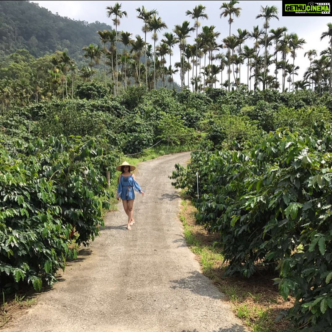 Tejasswi Prakash Instagram - Let there be new places and new people you learn from...always #fitzup #retreattaiwan Tainan, Taiwan