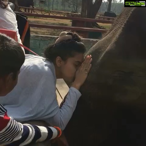 Tejasswi Prakash Instagram - 🐘 Coorg Madikeri