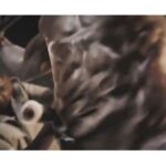 Tiger Shroff Instagram - Here’s a bit of the making for you guys 👊😊 (link to full video in my bio) @dishapatani #SajidNadiadwala @khan_ahmedasas @nadiadwalagrandson @foxstarhindi @tseries.official @wardakhannadiadwala #Baaghi2onMarch30