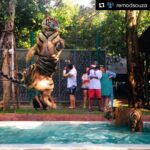Tiger Shroff Instagram - You're the wind beneath flying jatt sir. Thanks for making me fly! #Repost @remodsouza ・・・ See Tigers can FLY:)))) @tigerjackieshroff #aflyingjatt#25aug2016