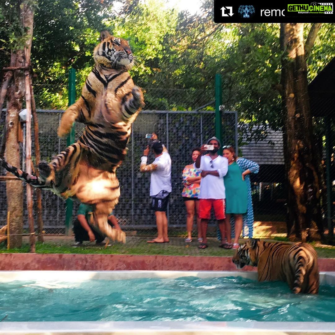 Tiger Shroff Instagram - You're the wind beneath flying jatt sir. Thanks for making me fly! #Repost @remodsouza ・・・ See Tigers can FLY:)))) @tigerjackieshroff #aflyingjatt#25aug2016