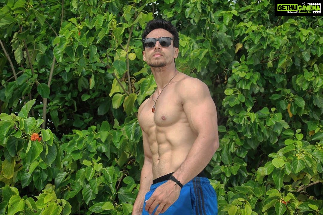 Tiger Shroff Instagram - I think i’ll just swim home today... 🐠🐠