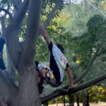 Vidyut Jammwal Instagram – Things to do!!!
Climbing a tree with 🛞 wheels on 

#Bucketlist achieved