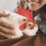 Wamiqa Gabbi Instagram - Thank you Dhinka and Chicka for teaching and giving us so much, you are missed. #animal #love #murge #chicks