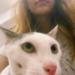 Warina Hussain Instagram – faya 🐈 says “ humans aren’t real “ 😏👽 
p.s. she ain’t my cat !