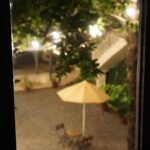 Warina Hussain Instagram – an unforgettable moonlight dinner 🖤 on the land of grapes 🥂#sulavineyards #thesouceatsula #nashikdiaries