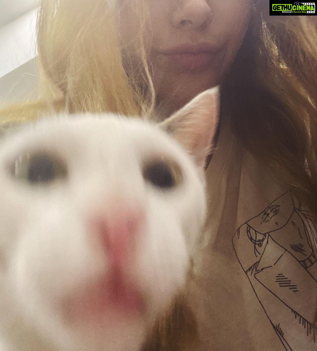 Warina Hussain Instagram - faya ๐ says โ humans arenโt real โ ๐๐ฝ p.s. she ainโt my cat !