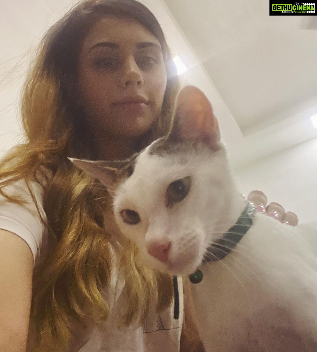 Warina Hussain Instagram - faya ๐ says โ humans arenโt real โ ๐๐ฝ p.s. she ainโt my cat !