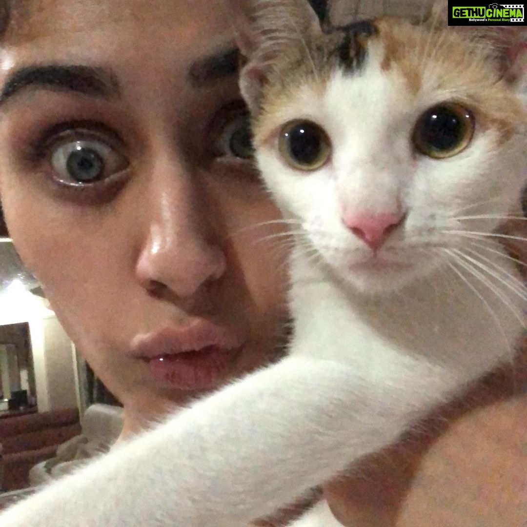 Warina Hussain Instagram - this could be us Simran 💔 but u ran away 😾