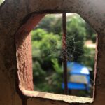 Warina Hussain Instagram - Spider man was here 😉 Will he be there in the end game? @marvel