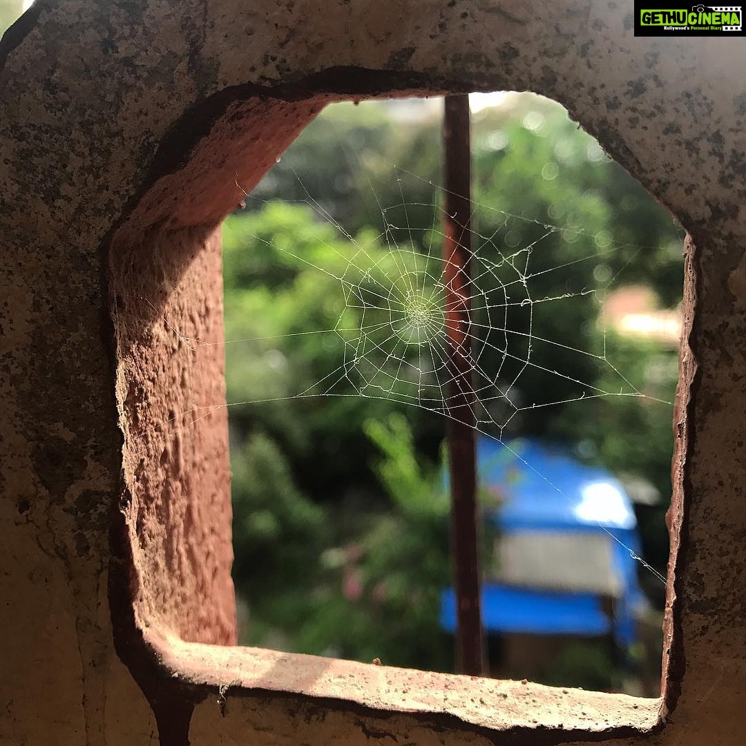 Warina Hussain Instagram - Spider man was here 😉 Will he be there in the end game? @marvel