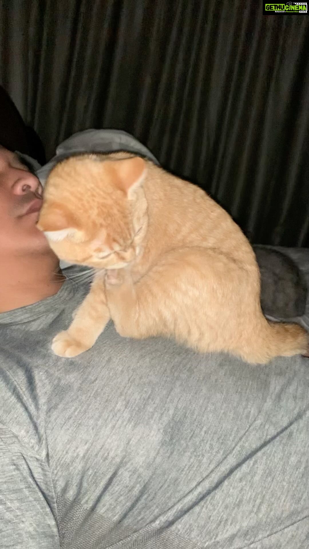 Aaron Aziz Instagram - Couldn’t sleep last night… kena attack harimau ganas.