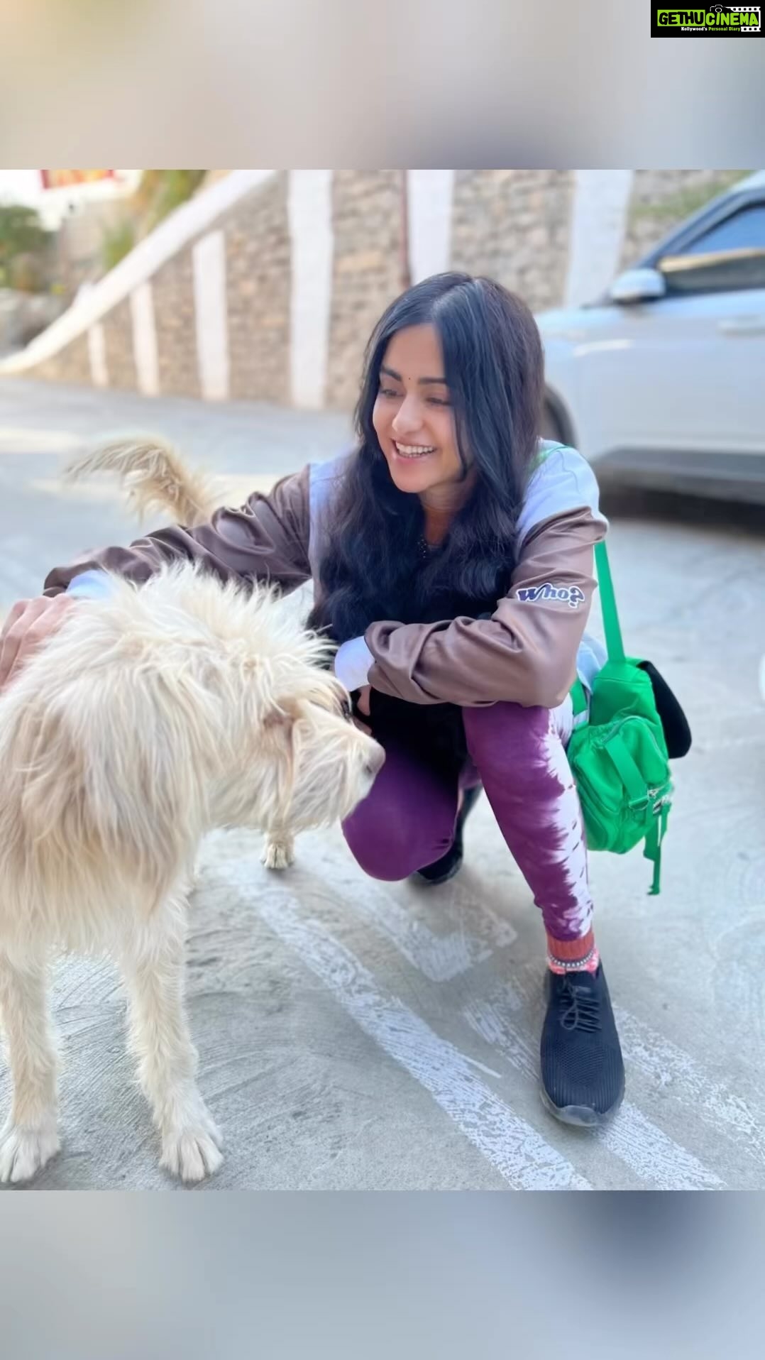 Adah Sharma Instagram - Adah Sharma massage services SIGN UP NOW IN THE COMMENTS *SPECIAL DIWALI DISCOUNTS* ,free service between shoot , special english lessons during massage service . Meet two of our very happy clients. . . . DISCLAIMER : you are only eligible if you walk on 4 legs since birth or have wings (not the energy drink ones) actual waaley! #100YearsOfAdahSharma #adahsharma