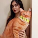 Adah Sharma Instagram - The lovely #AdahSharma and her star cat @adah_ki_radha personify the many moods and styles for #FilmfareAwards season. #Wolf777newsFilmfareAwards #FilmfareOnReels #FilmfareAwards2022