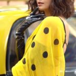 Adah Sharma Instagram - The coolest cats in town! #AdahSharma and her star cat @adah_ki_radha are as excited for #FilmfareAwards season as we are. 💯❤️ #Wolf777newsFilmfareAwards #FilmfareOnReels #FilmfareAwards2022