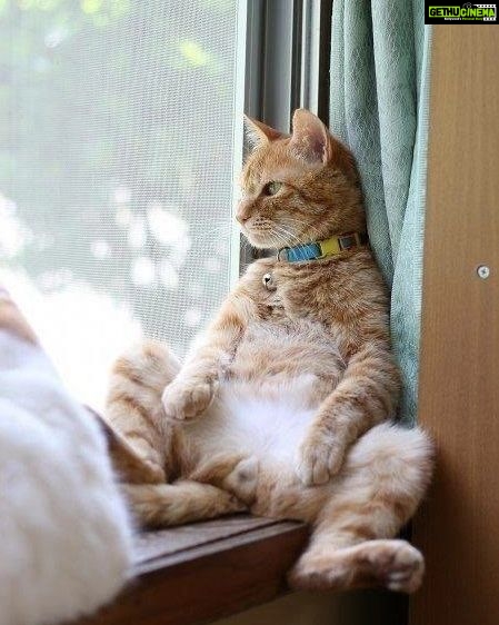 Adah Sharma Instagram - Sitting on a chair is the new SMOKING Spread the word and post your derrière on the floor 😳🤓😁 . . . #100YearsOfAdahSharma #adahsharma